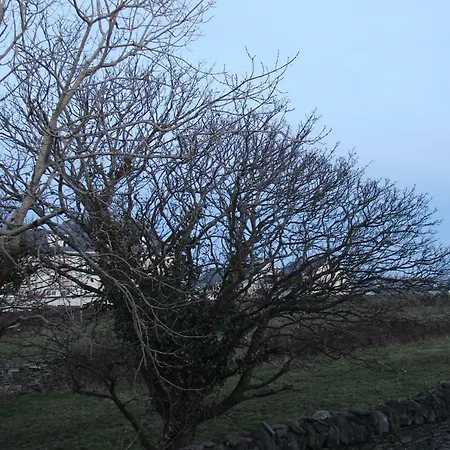 The Retreat * Liscannor