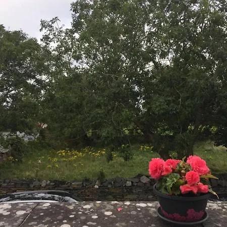Apartament The Retreat Liscannor